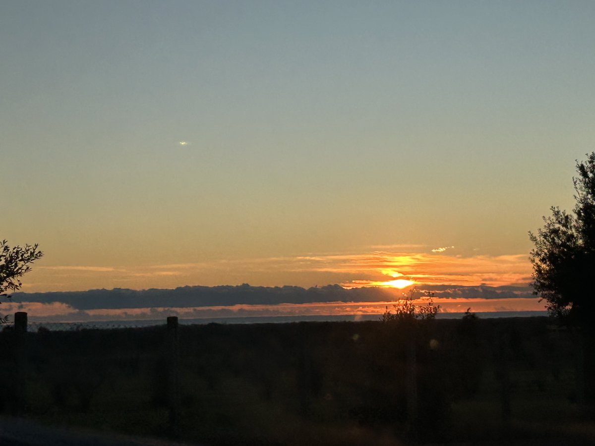 timelessflo's tweet image. 🌄