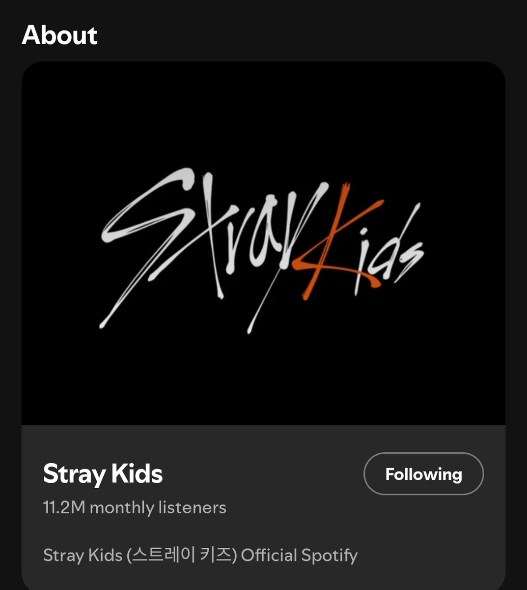 When will JYPE finally give Stray Kids their artist description on Spotify? Every other artist already has one......