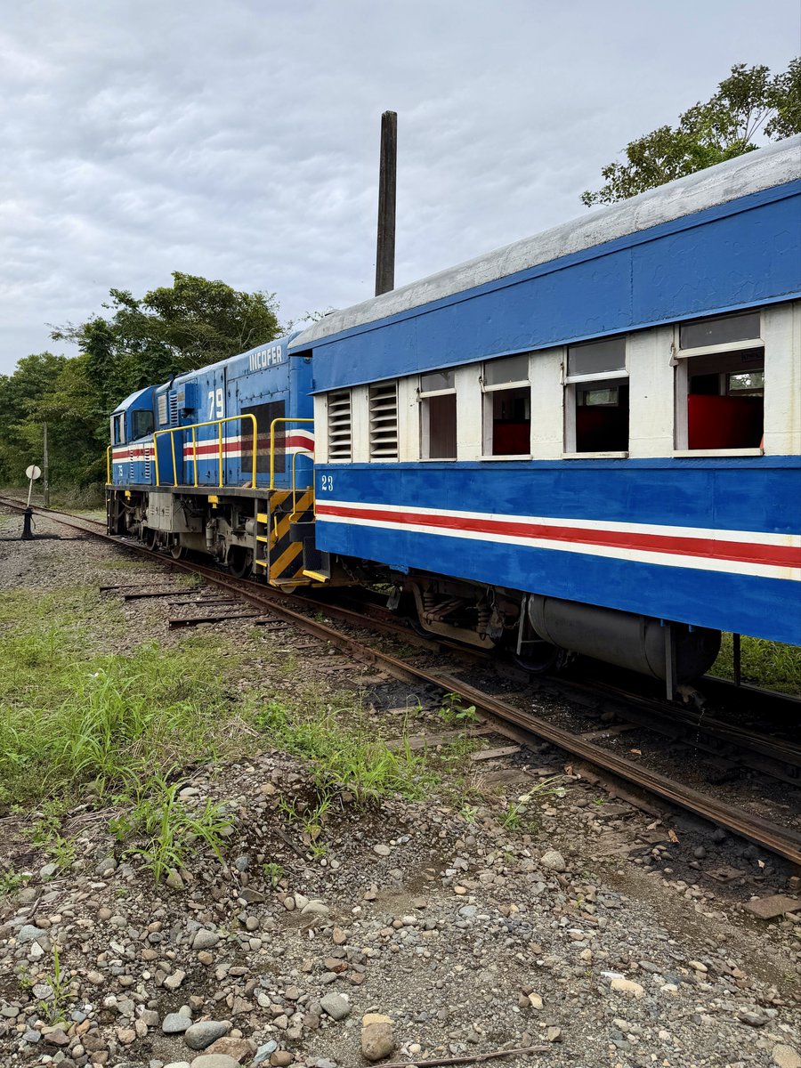 Josh Rimer tweet media