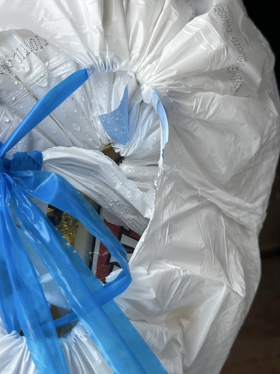 Thorfinn.fan tweet media