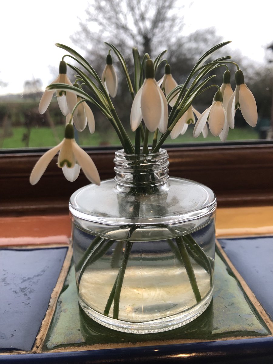 C and K Jones Roses aka JonesTheRose tweet media