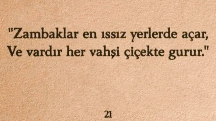 "zambaklar"