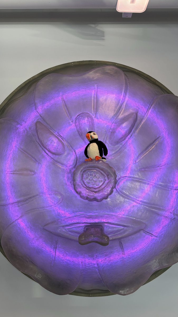 Digital Curation tweet media