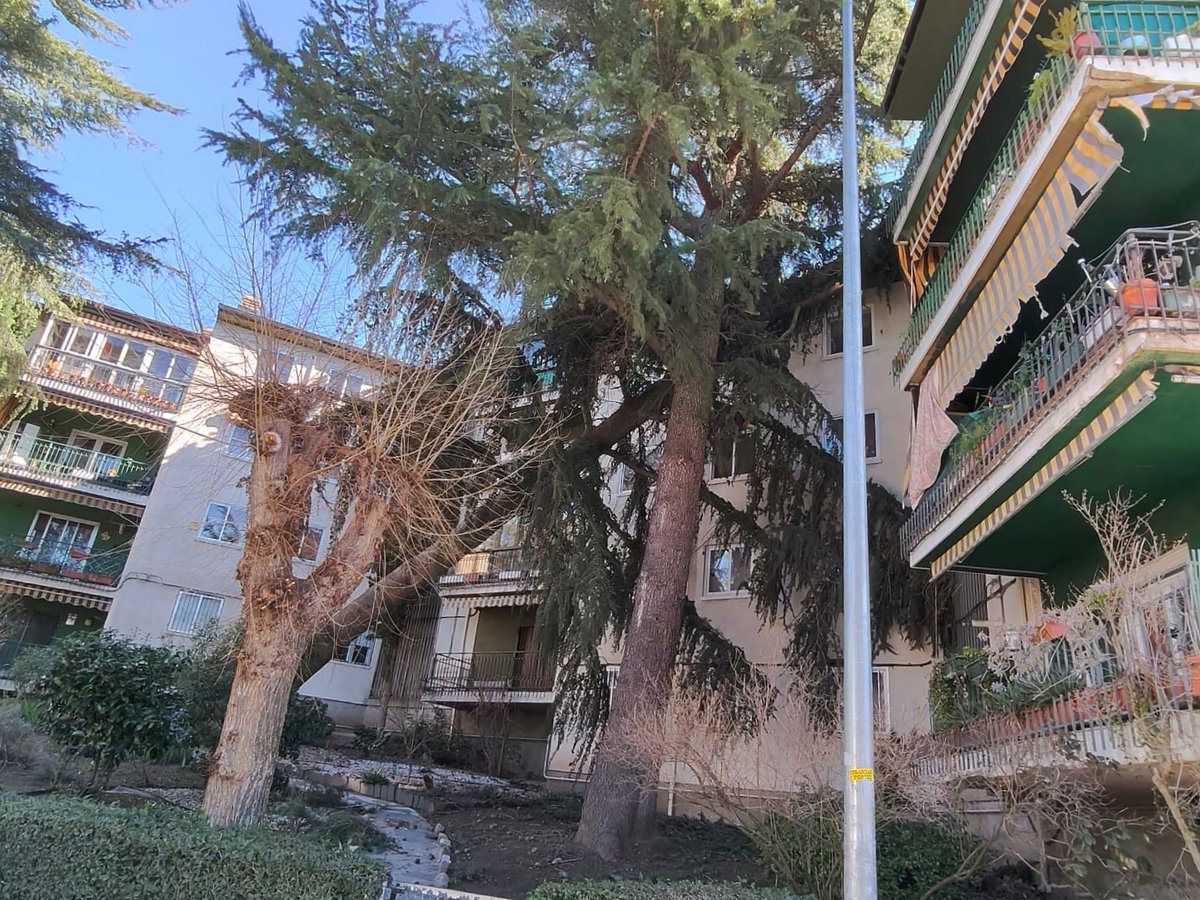 Protección Civil Collado Villalba tweet media