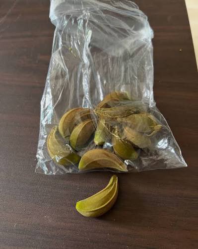 The flower bud of the African Tulip tree  is a NATURAL EYE DROP from Mother Nature that treats cataracts, conjunctivitis and blurry vision. 
 
Squeeze two drops of the watery sap onto the affected eye once daily. 

Nature heals.