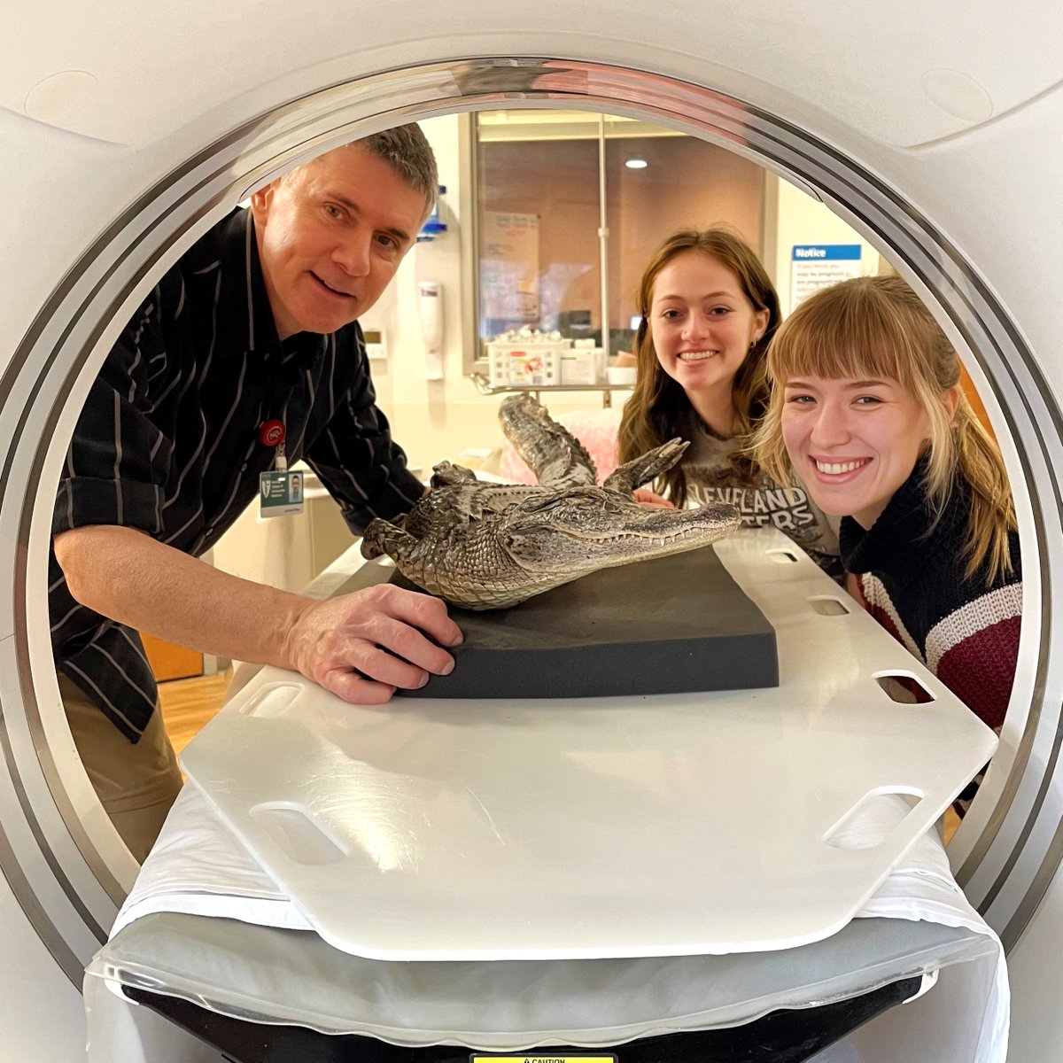 WitmerLab tweet media