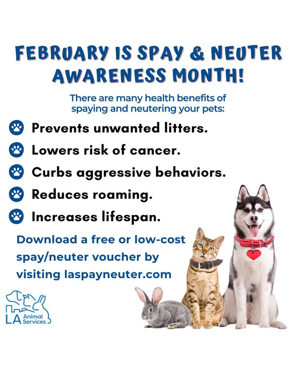 LACity's tweet image. 🐾 February is Spay &amp;amp; Neuter Awareness Month! The City of Los Angeles encourages pet owners to spay or neuter their pets to prevent overpopulation, improve animal health, and save lives. Responsible pet care helps build a better L.A., one paw at a time. laspayneuter.com🐾