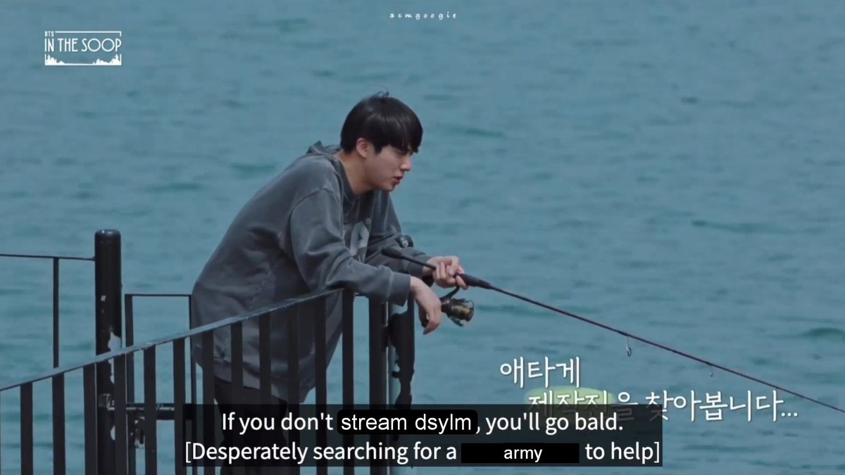 daily stream don't say you love me or you'll go bald tweet