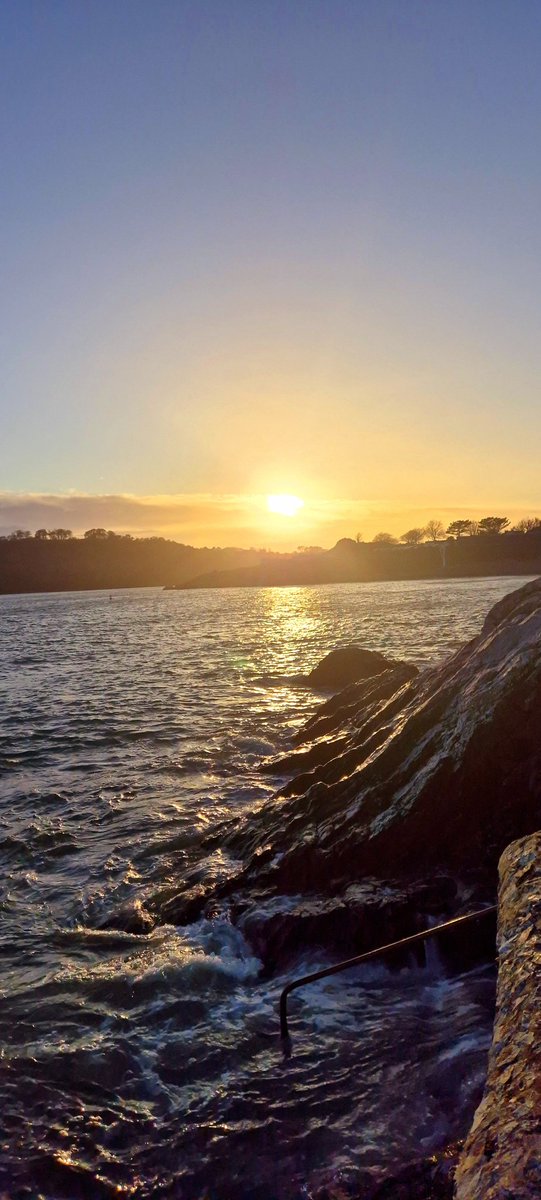 🌱Lovely_Plot 💅🇵🇱🇬🇧🪷🐞🐝 tweet media