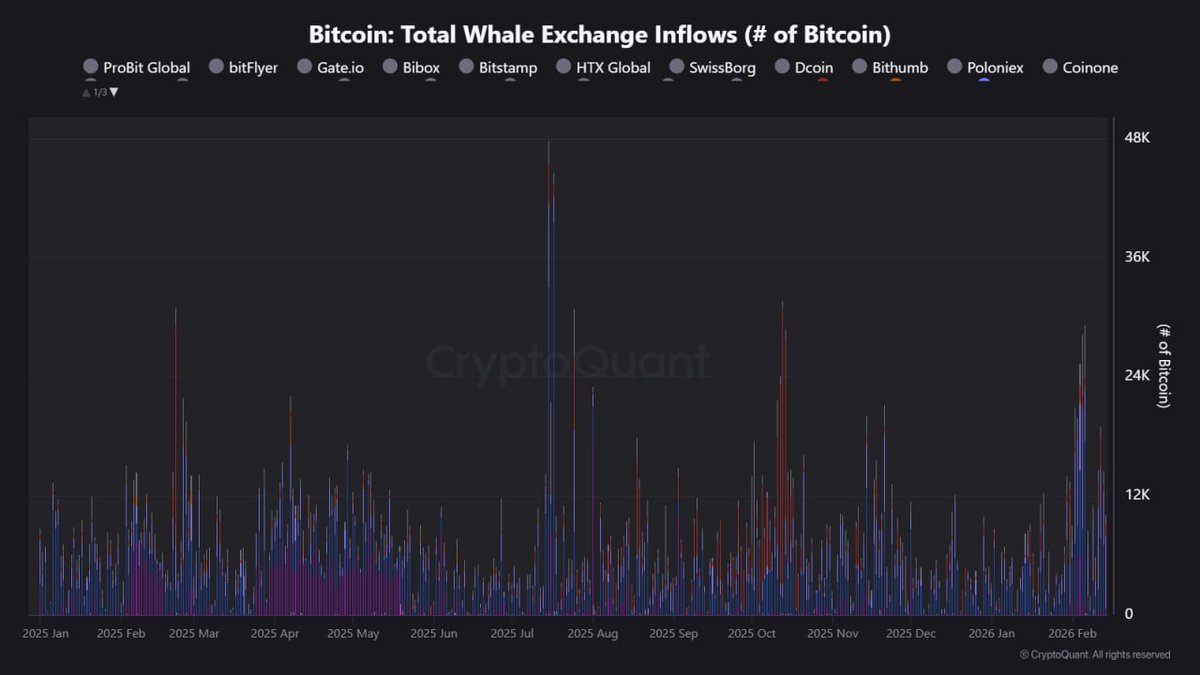 CryptoNation tweet media