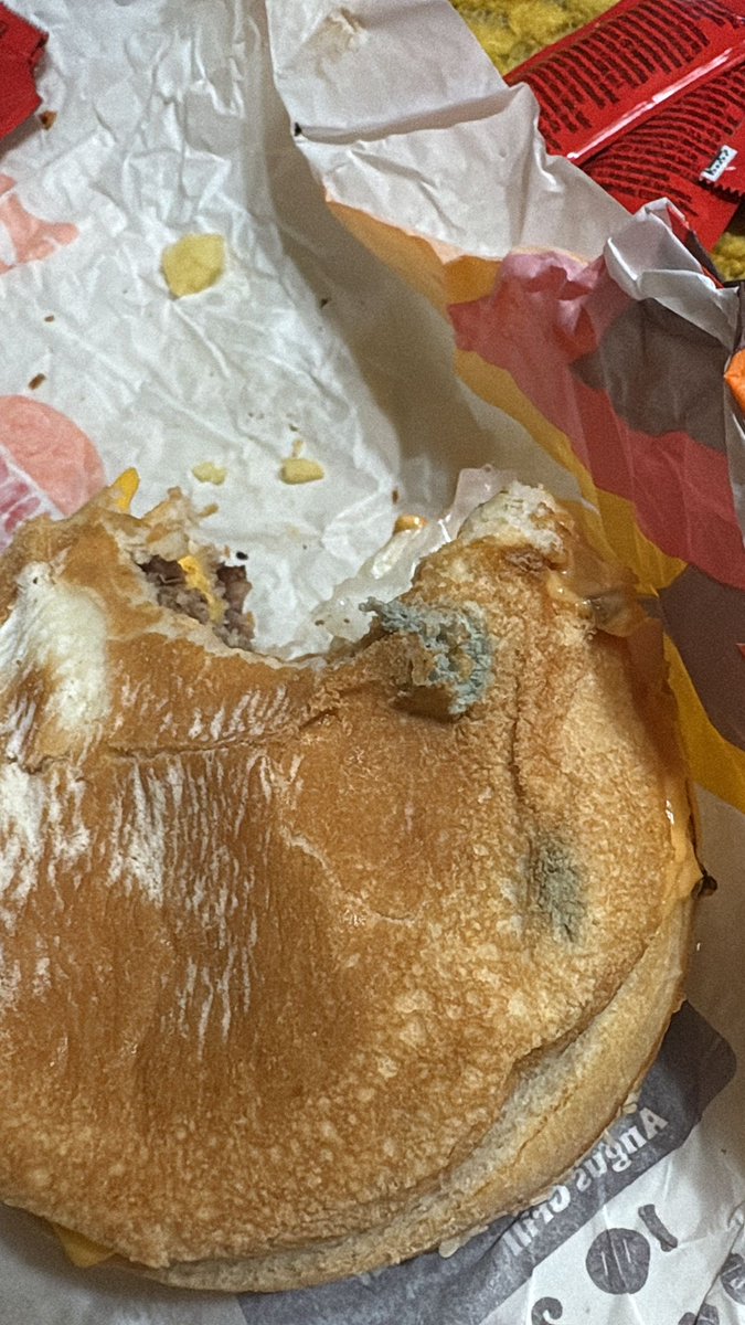 KeTeMeT0's tweet photo. @burgerking_es El moho es el nuevo topping de burgerking? porque no lo he visto anunciado en la tele… y llamamos y que eso otro día nos dan una hamburguesa…. https://t.co/OkKU9v9Qt6