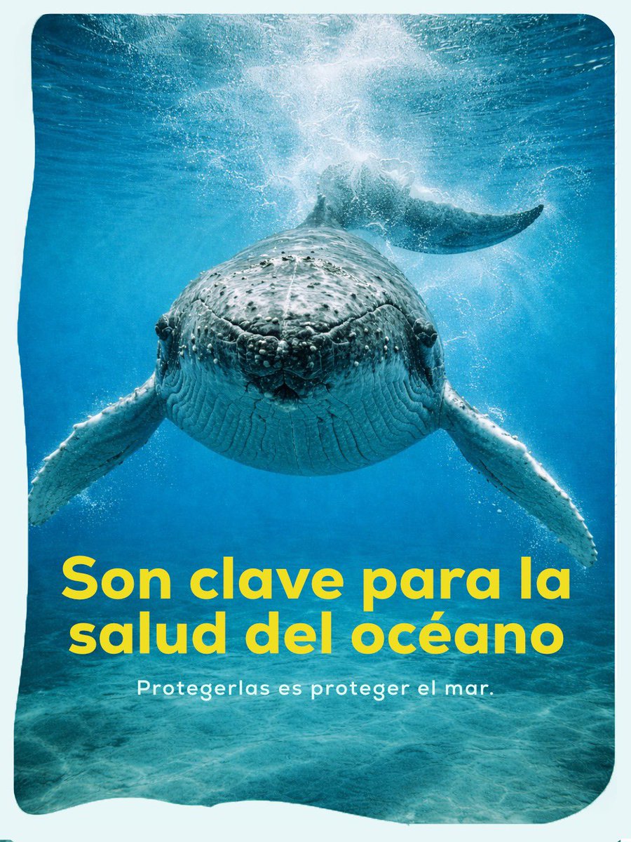 ATUNEC EC tweet media