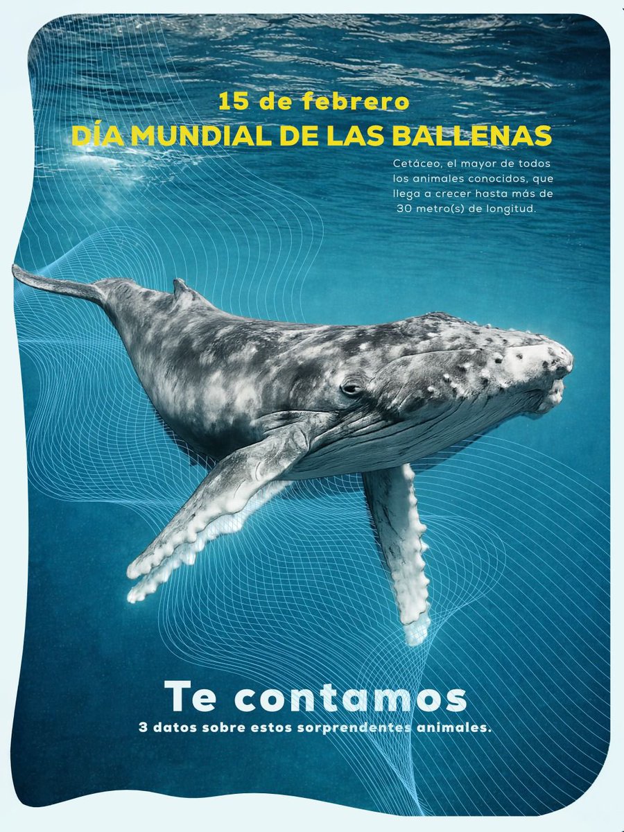 ATUNEC EC tweet media