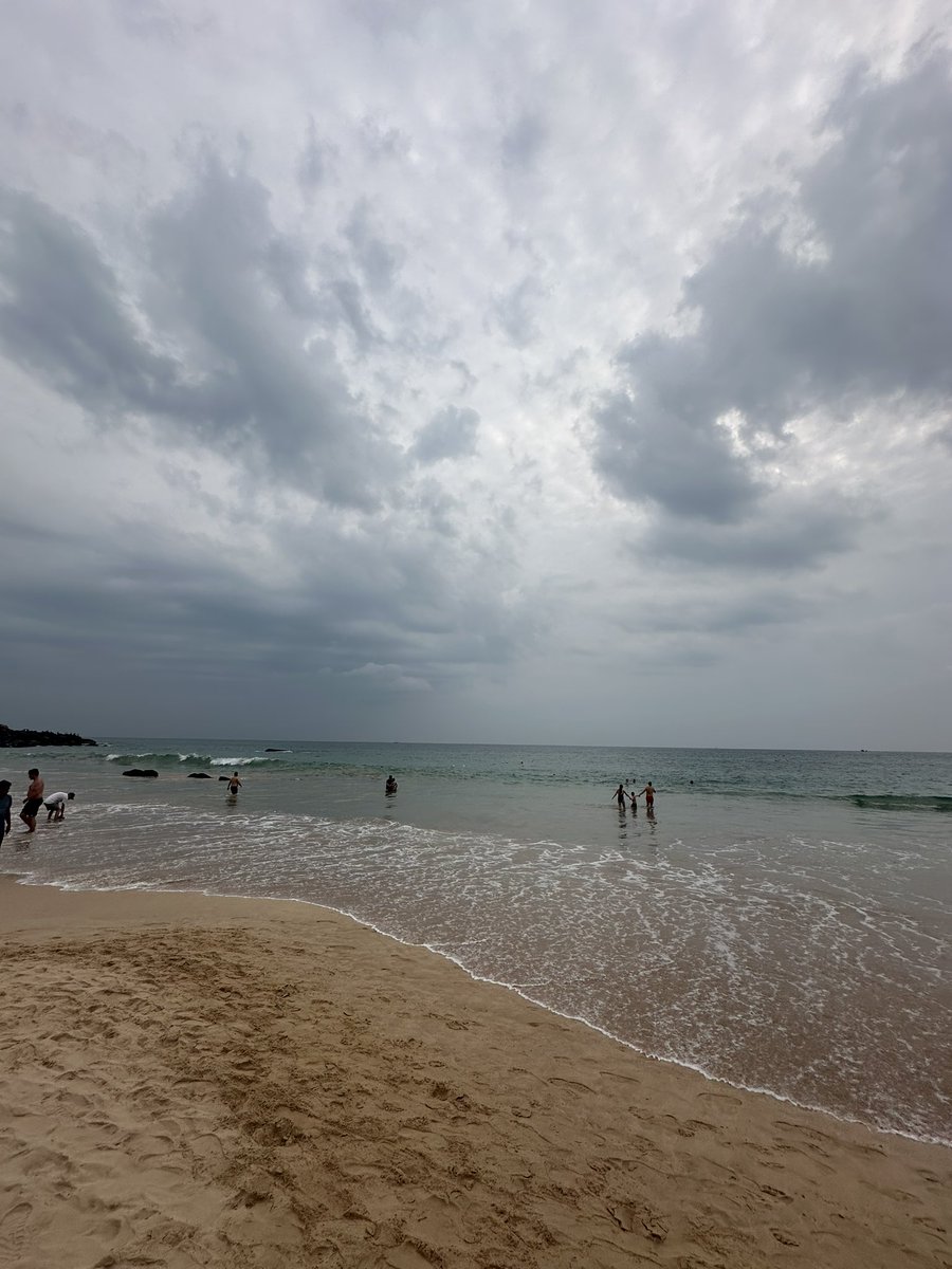 Nisal Gunawardhana tweet media