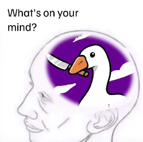 <a href="/RichardHeartWin/">Richard Heart</a> $HONK has ZK Privacy Protocol $HONK Bridge to $PLS soon❗❗⁉️