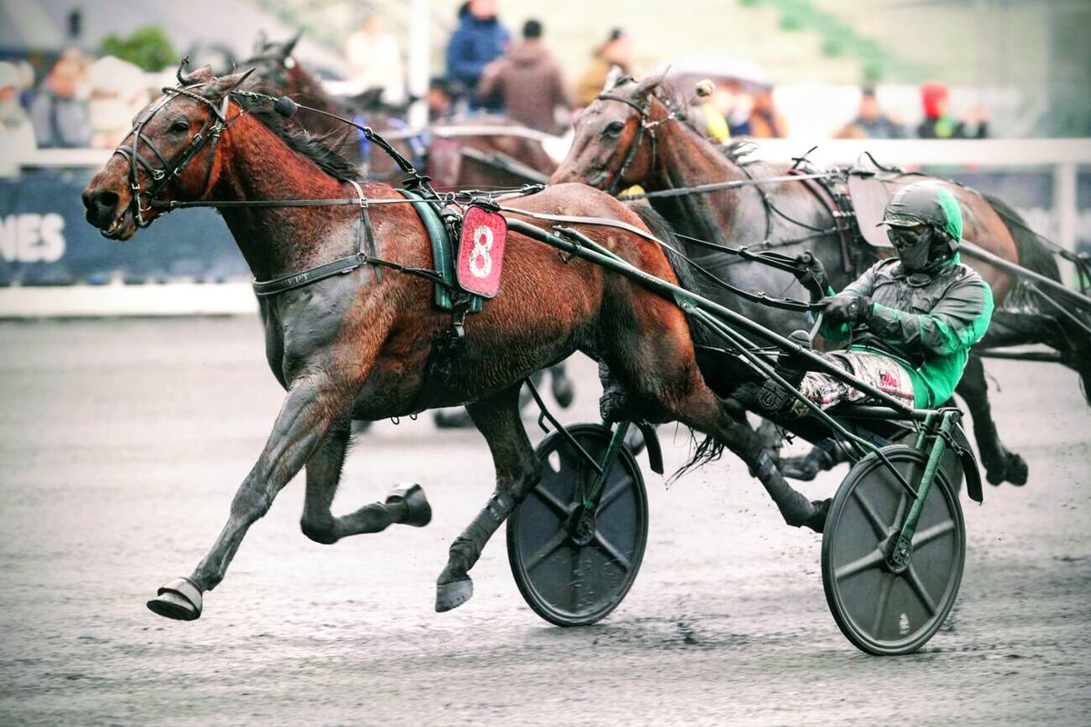 Team Westholm tweet media