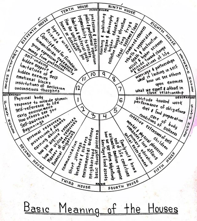ASTROELEANOR | Astrologer tweet media
