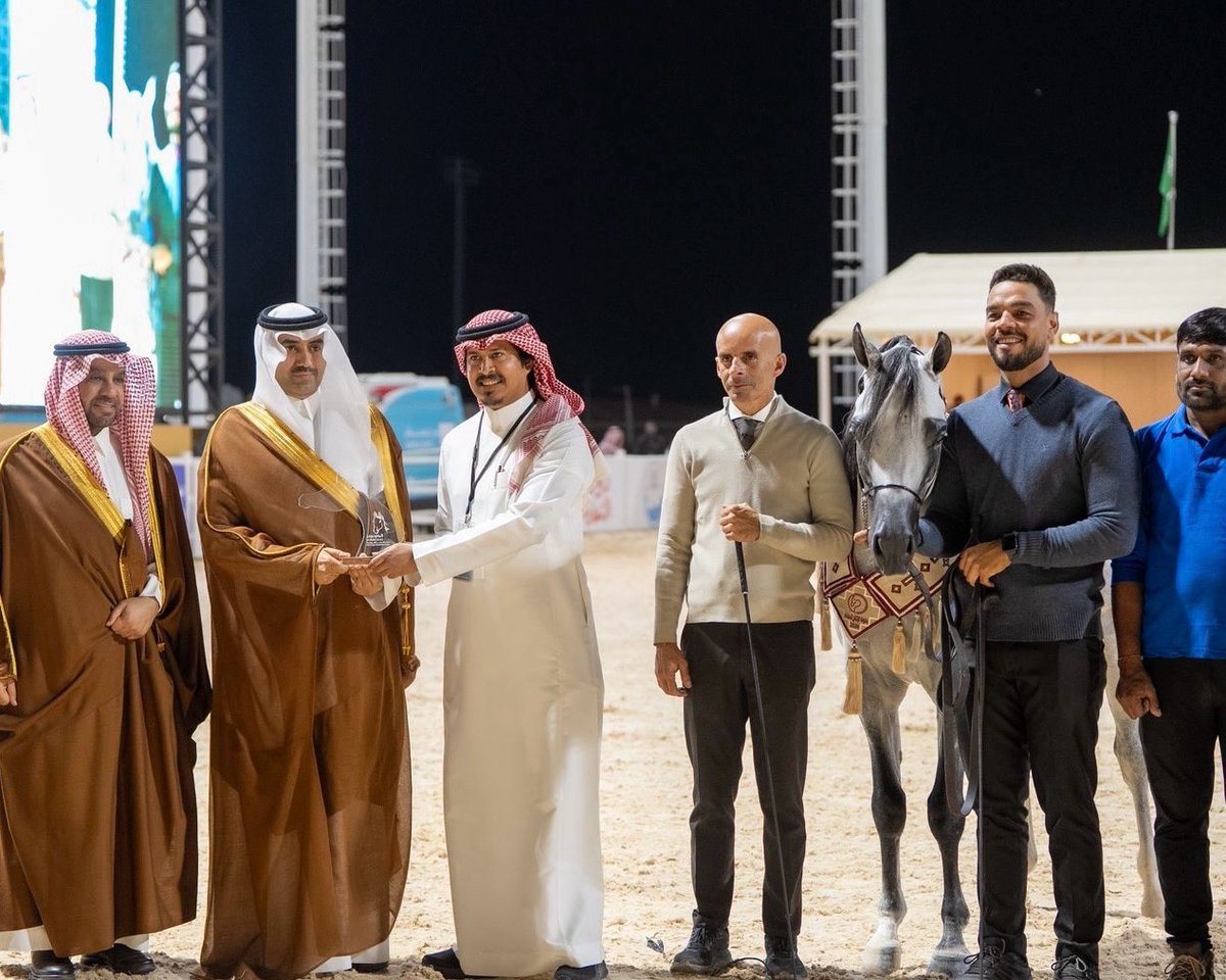 AlSayed Stud | مربط السيد tweet media