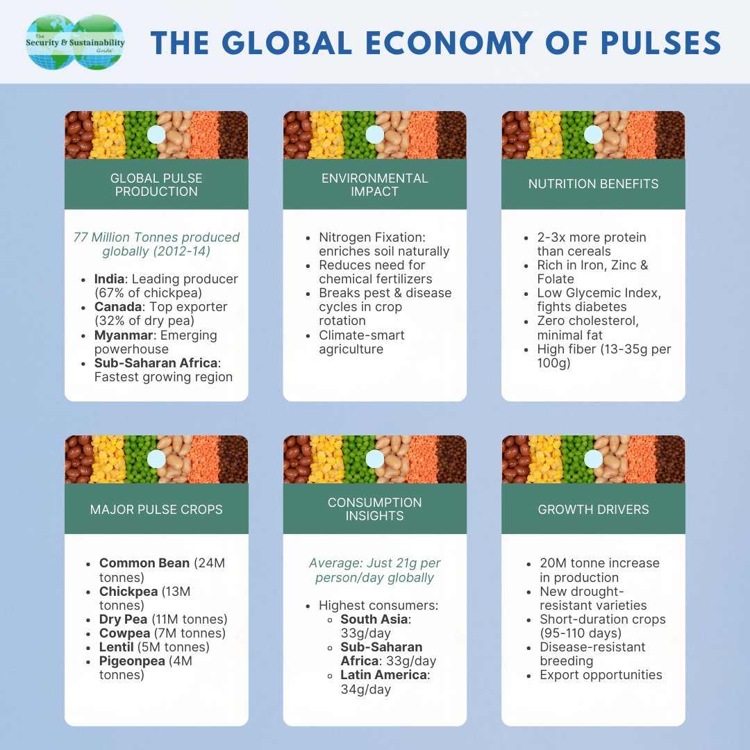 SecureSustain's tweet photo. 🌱 In 'The Global Economy of Pulses', @FAO examines how these nutrient-dense crops contribute to global food security, rural livelihoods, and climate-smart #agriculture.

🔗 Learn more about #FAO and their publications here: https://t.co/g8mT0vTFpT https://t.co/AN0nRYl1FH