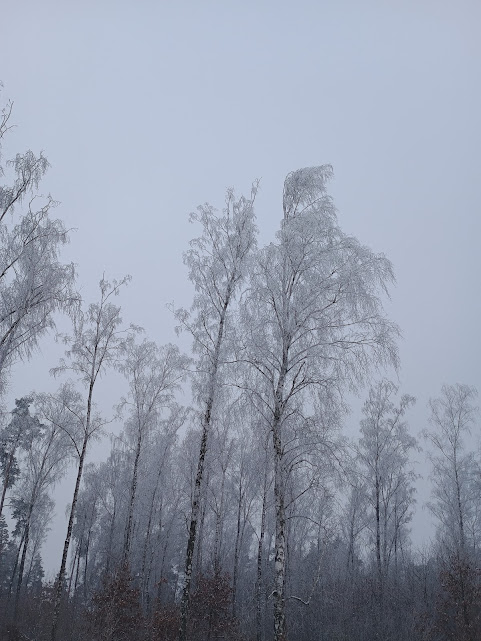 Zosia...Gaya @gayyka (@gayyka) on Twitter photo 