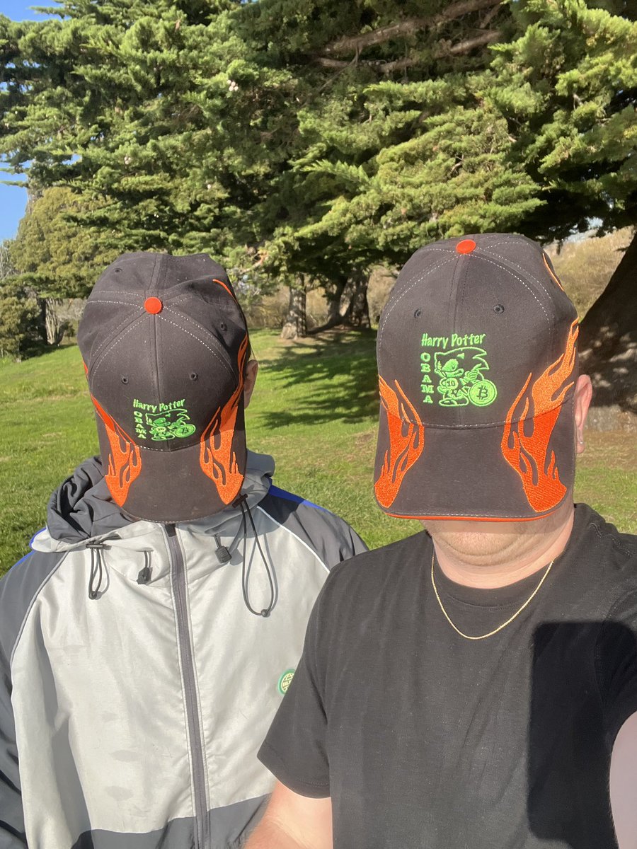 Mintcondish369's tweet image. #HarryPotterObamaSonic10Inu #hpos10I $BITCOIN ❤️💙💛 @HPOS10Ireturns 

The thicker ticker 
The coin who lived 

Strongest crypto community in the bear market is strongest in the bull market 

Gonna go fast 💨💹