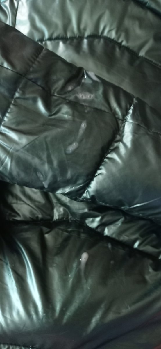 tek-berc tweet media