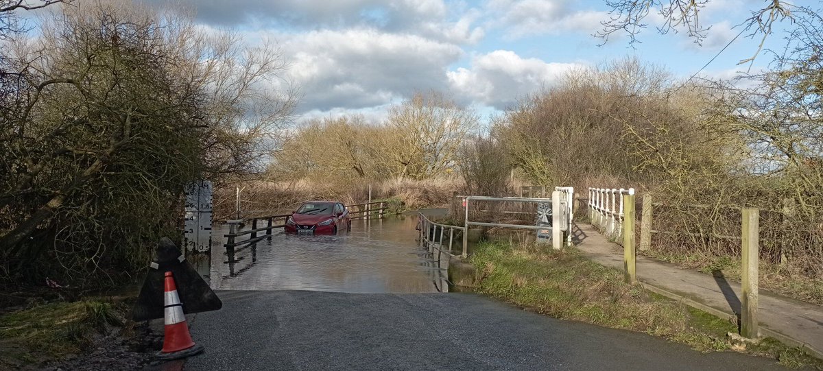 Neil Pellinacci tweet media