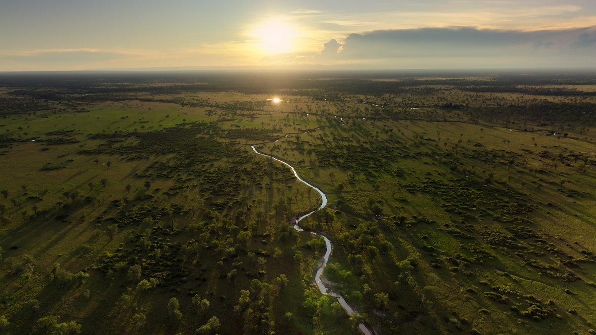 NerdsThatGeek's tweet image. It's a time to heal in the next episode of #Kingdom on @BBCAmerica, and we are here to recap one fascinating tale! #BBCAmerica nerdsthatgeek.com/television/kin…