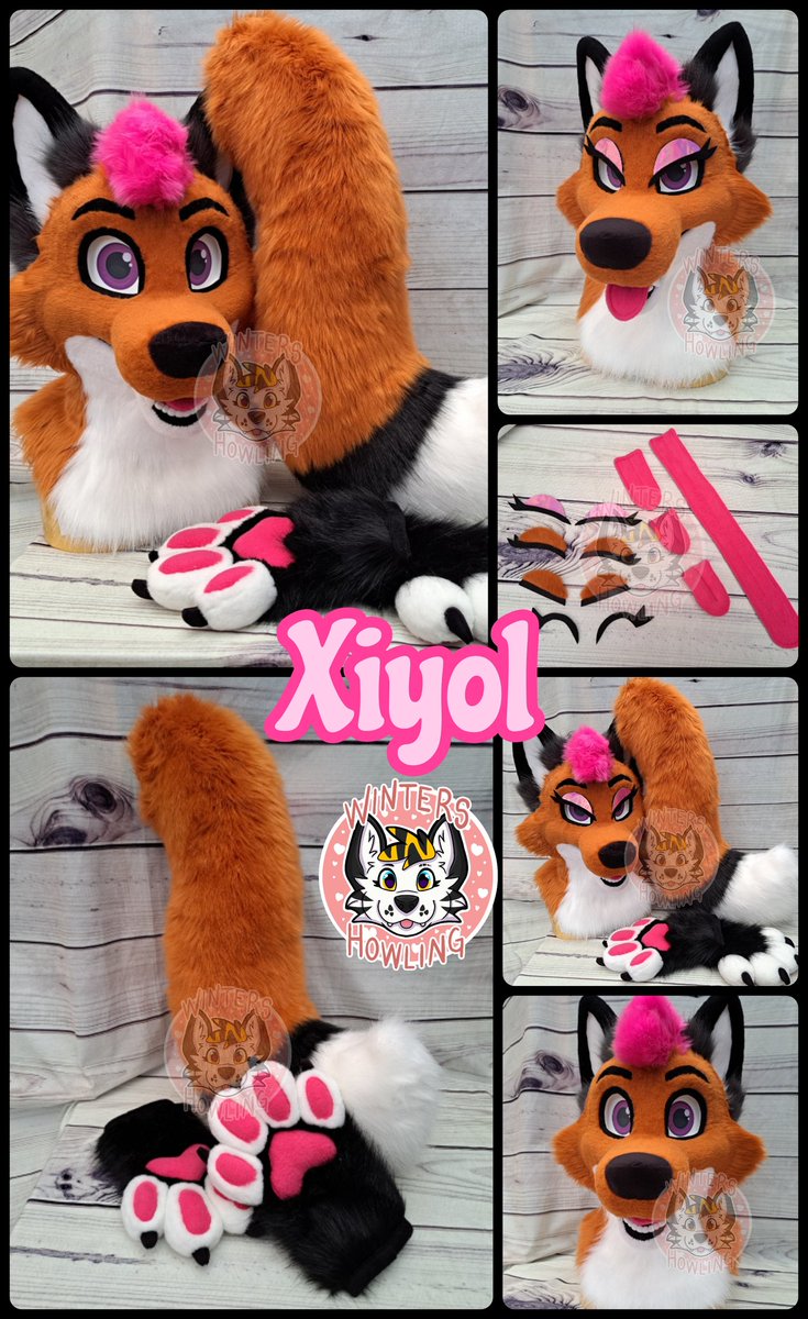 WintersHowling's tweet photo. Im very proud to show off Xiyol who belongs to @XiyolFox !!
Hes a partial fursuit with an array of interchanging accessories!

Hes my 89th complete fursuit and I finished him yesterday! Valentines fox!!

More photos and videos below!

Shares appreciated! https://t.co/fSryu2E3v4