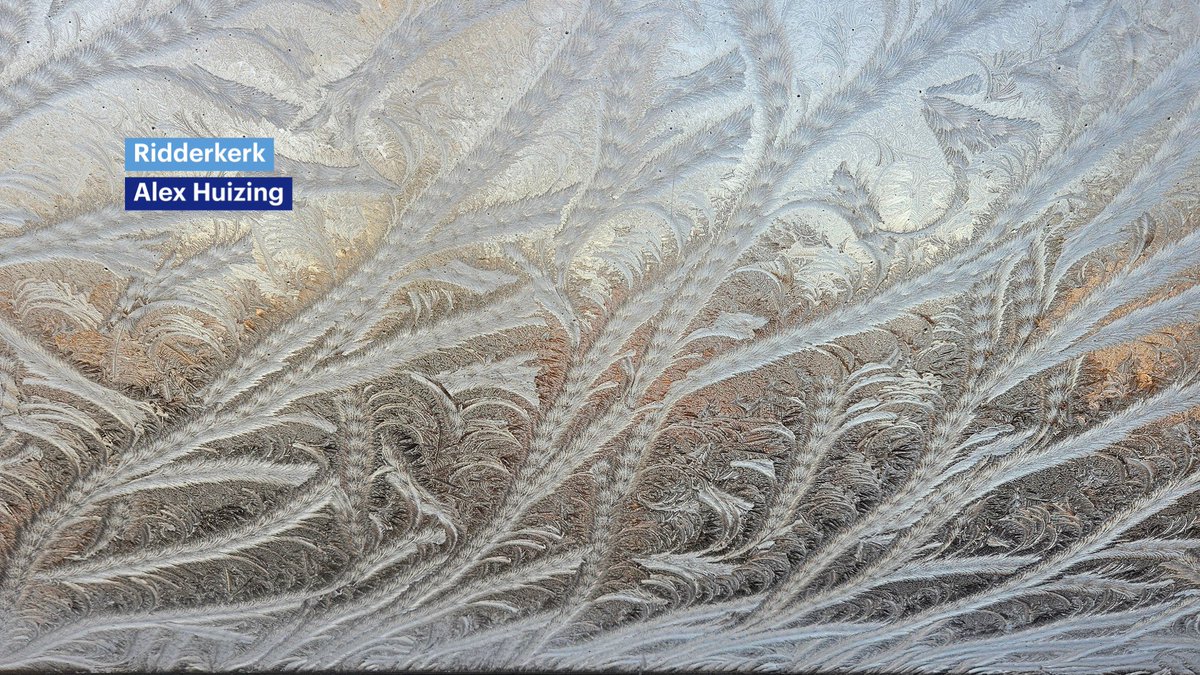 Buienradar tweet media