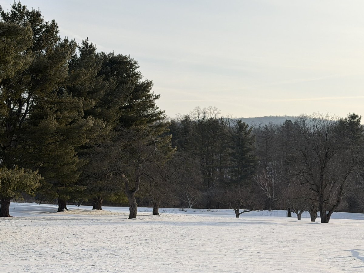 StripMallGuy tweet media