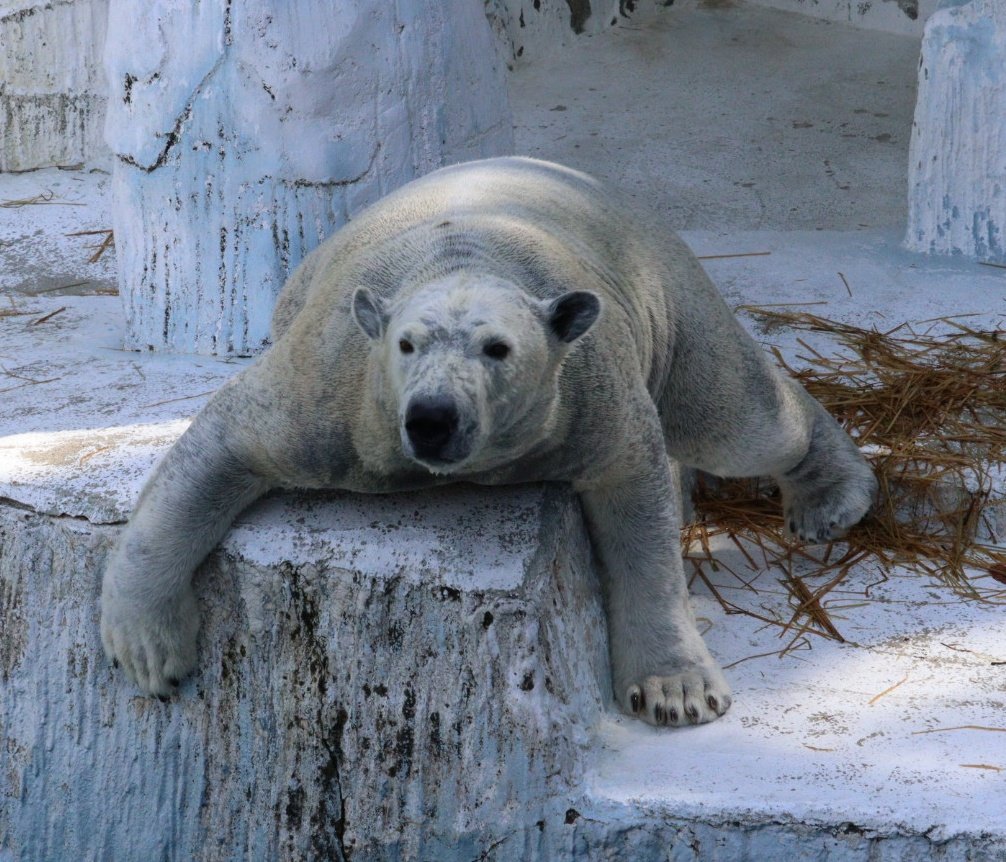 ホウちゃん
その表情は何？
険しいな　なんやろう
2026.2.14