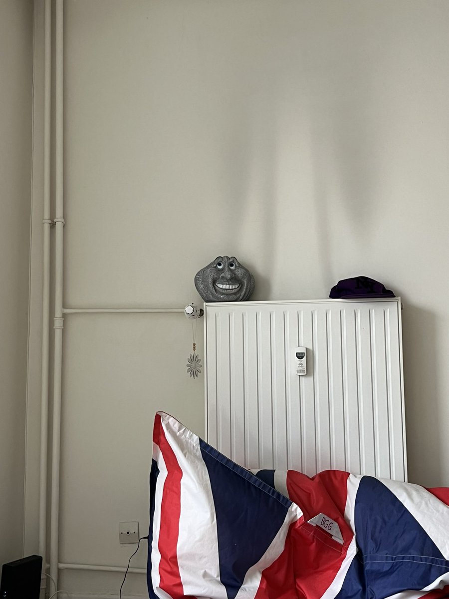 LaitEauXx's tweet photo. @rokleam Perso je vis très bien avec ma freaky stone sur le radiateur https://t.co/6xiQ4D3Vl0