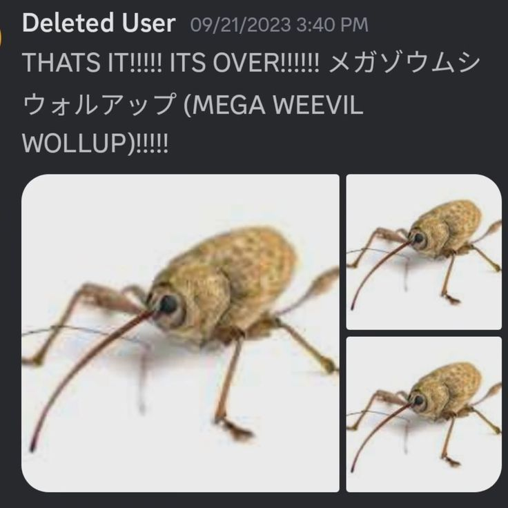 rio .ᐟ.ᐟ semi recovery (@phll0s0phlcal) on Twitter photo 