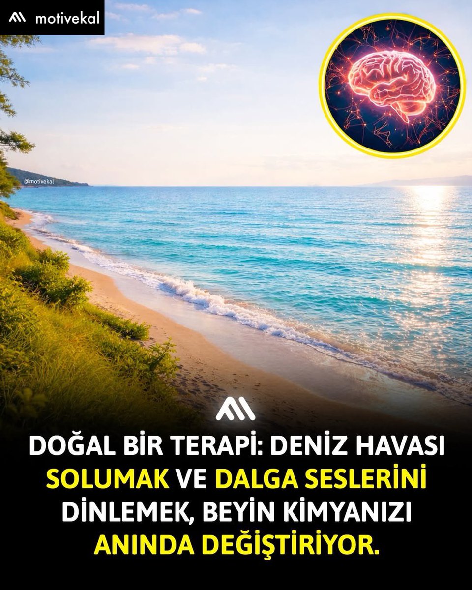 🌊 Tatile Gitmek Lüks Değil, Biyolojik İhtiyaç: “Mavi Alan Etkisi”yle Tanışın! 

Deniz, nehir veya göl kenarında vakit geçirmek sadece keyifli bir kaçamak değil, aslında beynimiz için hayati bir biyolojik ihtiyaçtır. Bilim dünyasının “Mavi Alan Etkisi” (Blue Space Effect) olarak