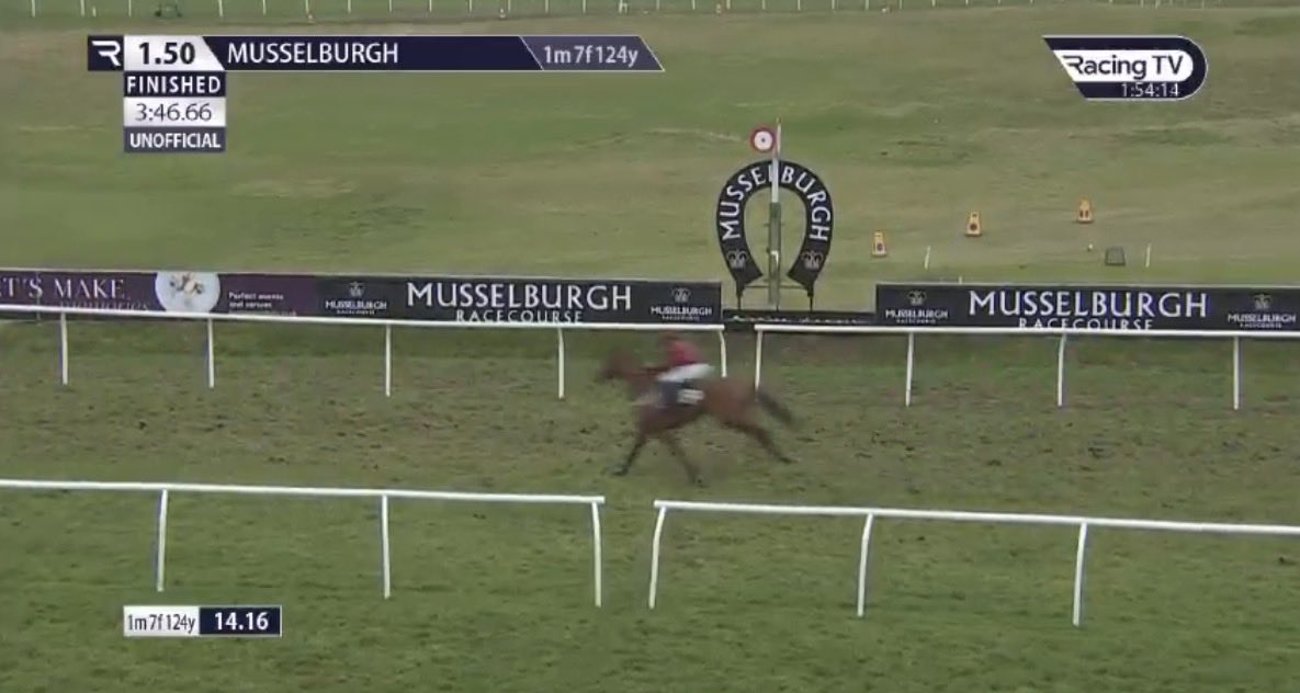 the racing newsletter tweet media