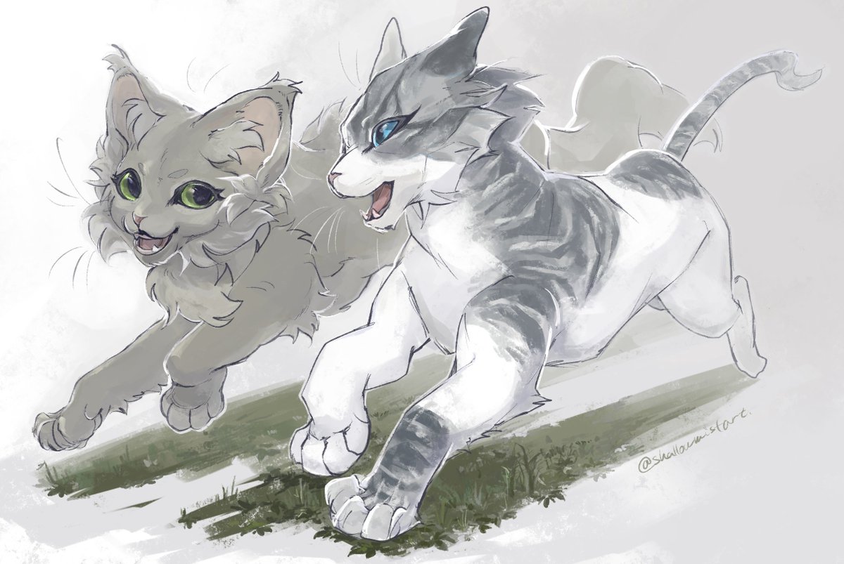 #warriorcats 
Dovewing and Ivypool