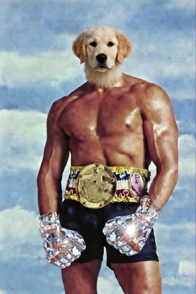 Erik Stevens 🐆 (@hopiumpapi) on Twitter photo 