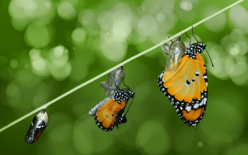 التقدم في العُمر أمرٌ حتميٌّ مقضيّ، بينما التَّقدم في بناء الروح والجسم والعقل أمرٌ اختياريٌّ كسبيّ، والخلط بينهما موجب لضياع بوصلة الإنجاز في الحياة!!
ولكل مرحلة عطاءٌ يُناسب العُمْر ويوازي قُوَّة البناء .. ودَّعتُ أعواماً مضت، وأستقبل ما بقي بعطاءٍ مختلف، بسم الله أبدأ …..