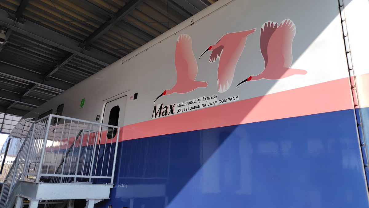 自分にとって新幹線といえば緑色の200系。展示はさよなら運転を地元で見送ったK47編成。あの時を思い出して感慨深い。
プラレールでしか見たことない息子は本物のE4系に大興奮！私が最後に乗ったのは2021年なのでもう5年も前。息子は存在すらしていません笑

#どこビュン新潟駅