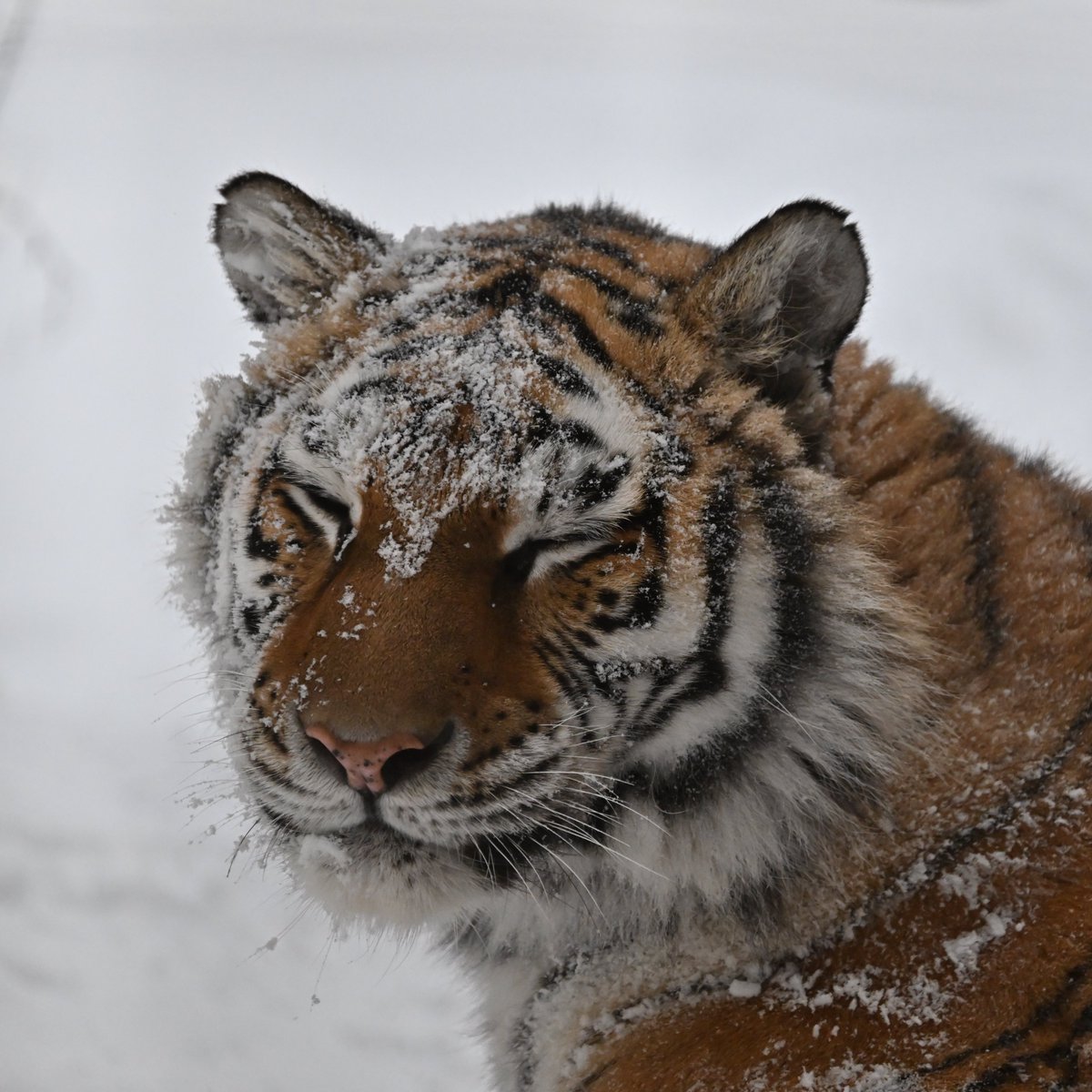 え、もう明日から仕事？