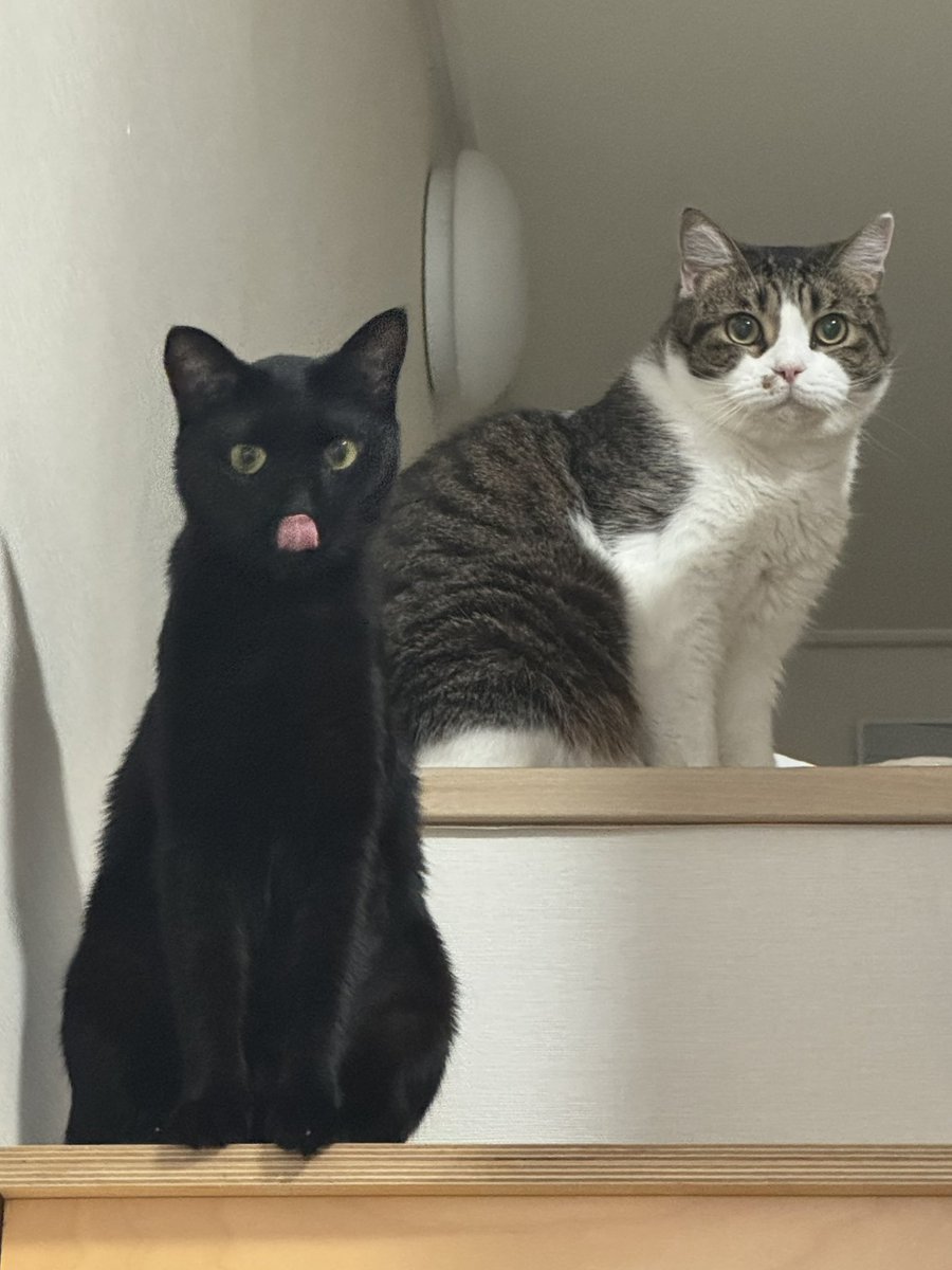 단밤 ✧☾ tweet media