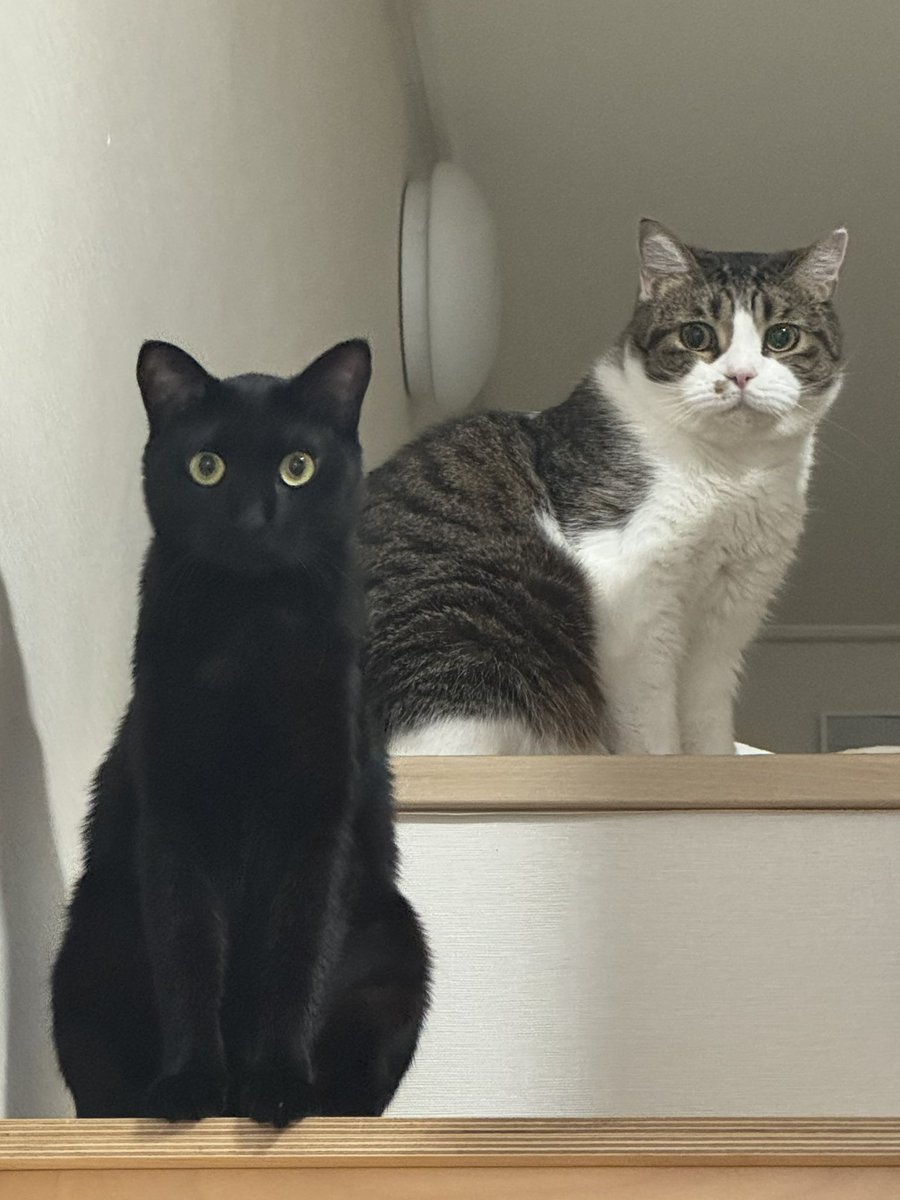 단밤 ✧☾ tweet media