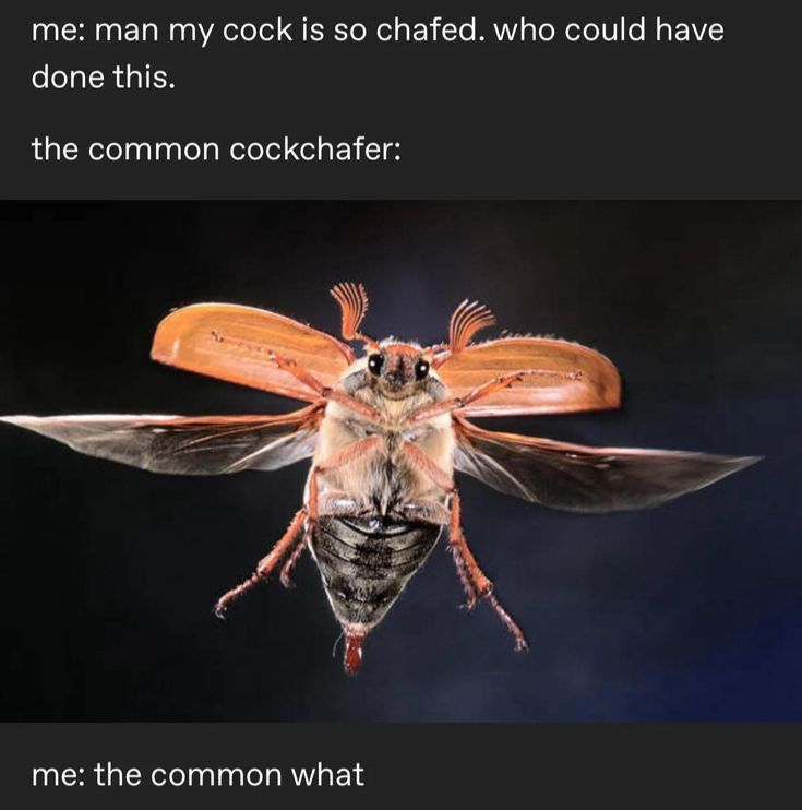 rio .ᐟ.ᐟ semi recovery (@phll0s0phlcal) on Twitter photo 