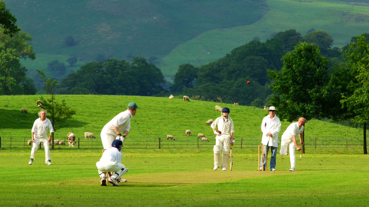 WG RumblePants tweet media