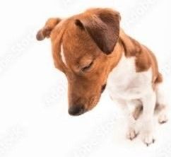 Me desperté e inmediatamente me dieron ganas de volver a dormir