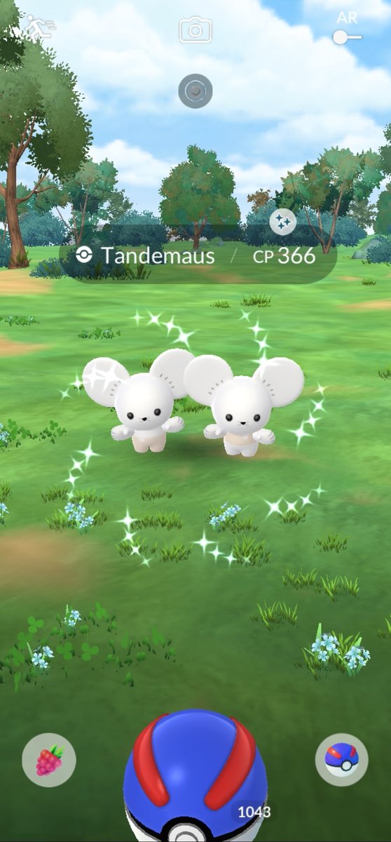Did my weekly challenge alone and was rewarded with a shiny Tandemaus 🥺 #PokemonGO