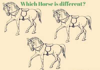 Eyes test.

Which horse is different..?