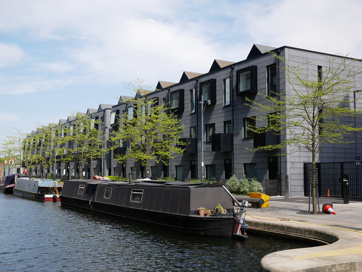 Daibhidh tweet media