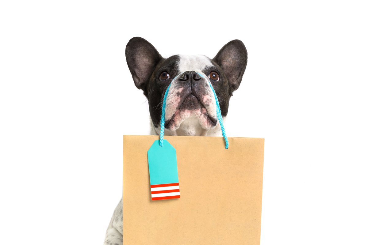 Join today and give back while you save 🐾
For every BJ’s membership purchased or renewed through our fundraiser, up to $15 supports Spay Neuter Network. Use the link below to sign up and make an impact:
🔗bjs.com/partner/spayne…